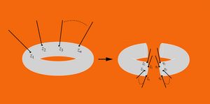 Der Torus ist ein geometrisches Hilfsobjekt zur Berechnung der Wechselwirkung von Gravitonen. Schneidet man den Torus in zwei Hälften, entstehen zwei Zylinder, die die jeweiligen Wechselwirkungen zweier Eichtheorien darstellen (Illustration: S. Stieberger/MPP)